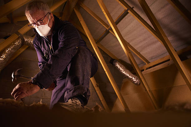 Best Insulation Installation Services in Mccoll, SC